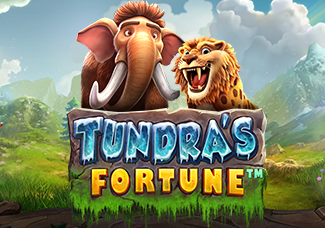 Tundra's Fortune